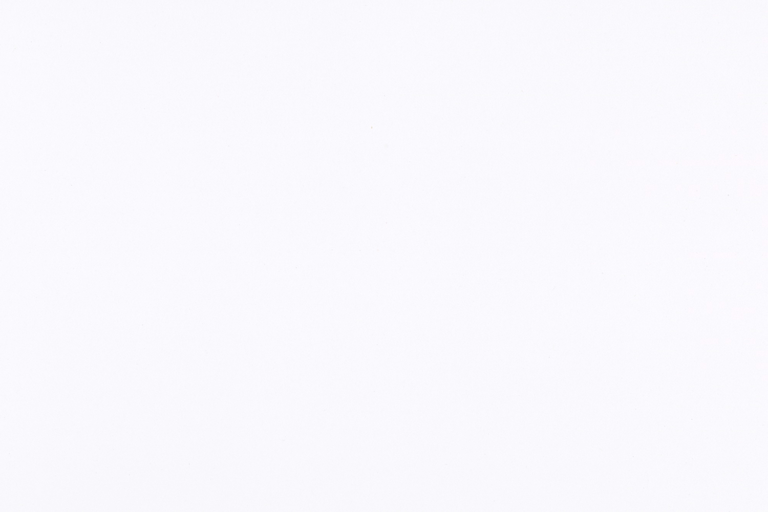 Jina has medium-length brown hair wearing a San Francisco white shirt, location is at a windy beach during the daytime